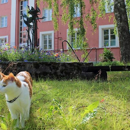Vanha Koulu Suolahti Exteriér fotografie
