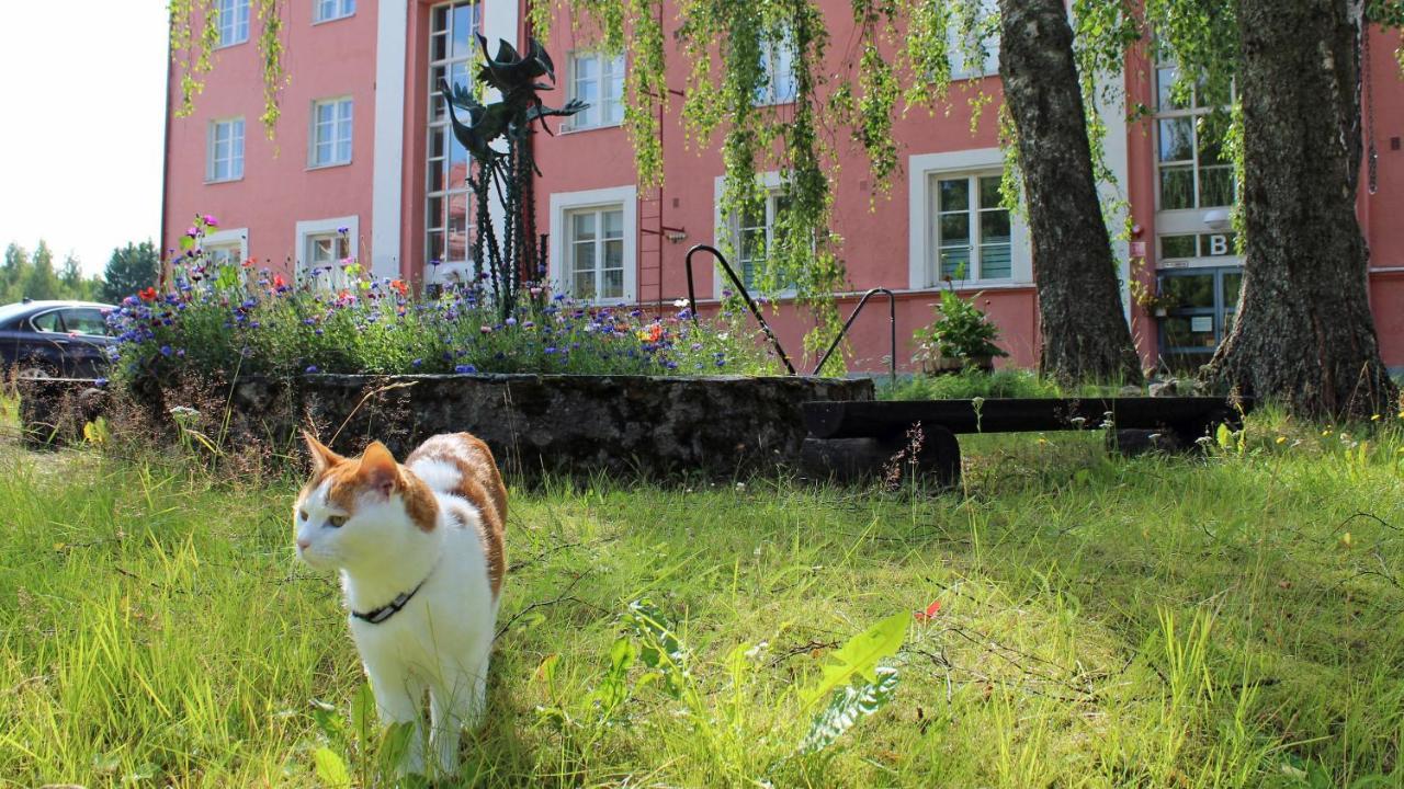 Vanha Koulu Suolahti Exteriér fotografie