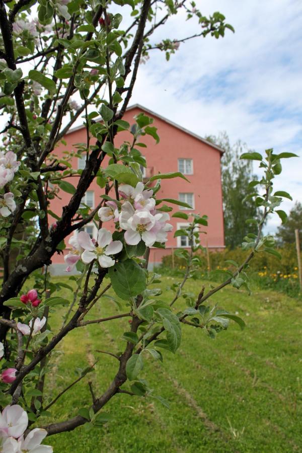 Vanha Koulu Suolahti Exteriér fotografie